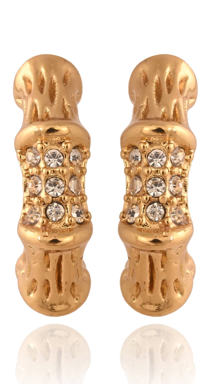 Crystalline Coral Hoop Earrings