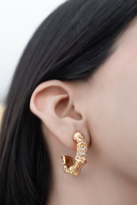 Crystalline Coral Hoop Earrings