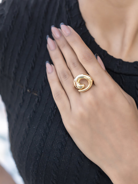 The Golden Vortex Ring